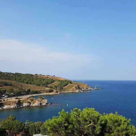 Profitez De La Vue ! Apartment Banyuls-sur-Mer Exterior photo