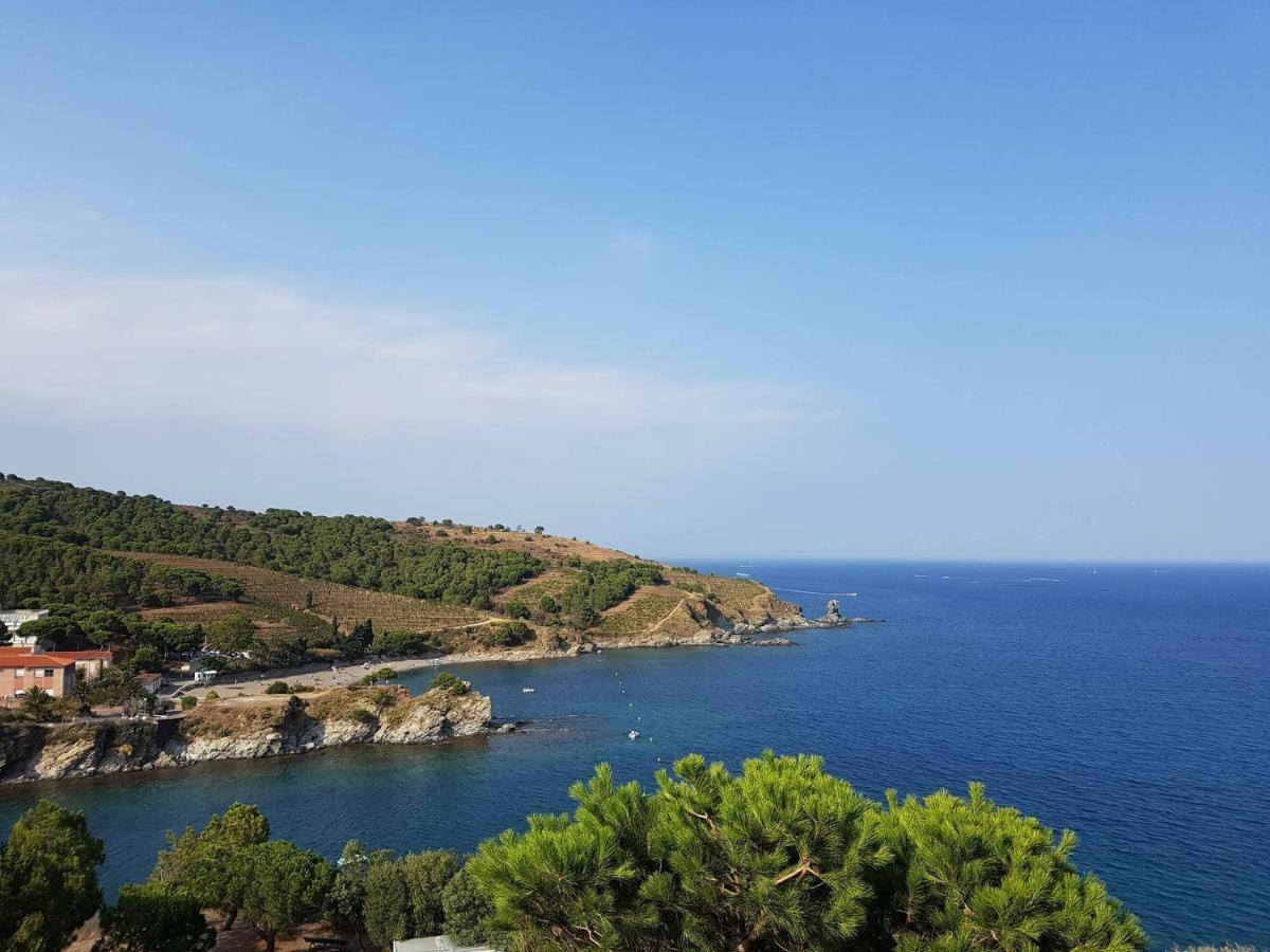 Profitez De La Vue ! Apartment Banyuls-sur-Mer Exterior photo